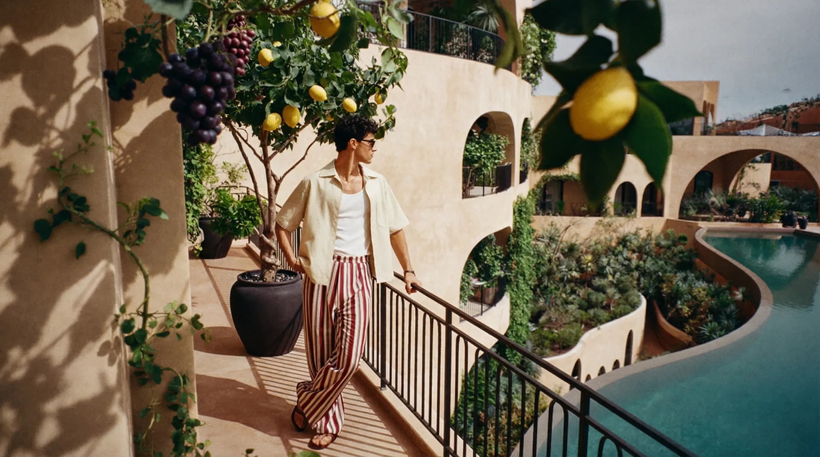 Arancia Yards image 6